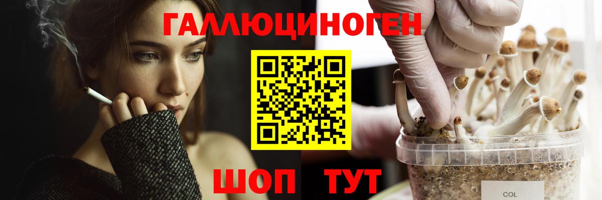 Киров  Псилоцибиновые грибы MAGIC MUSHROOMS  Вход с VPN 
